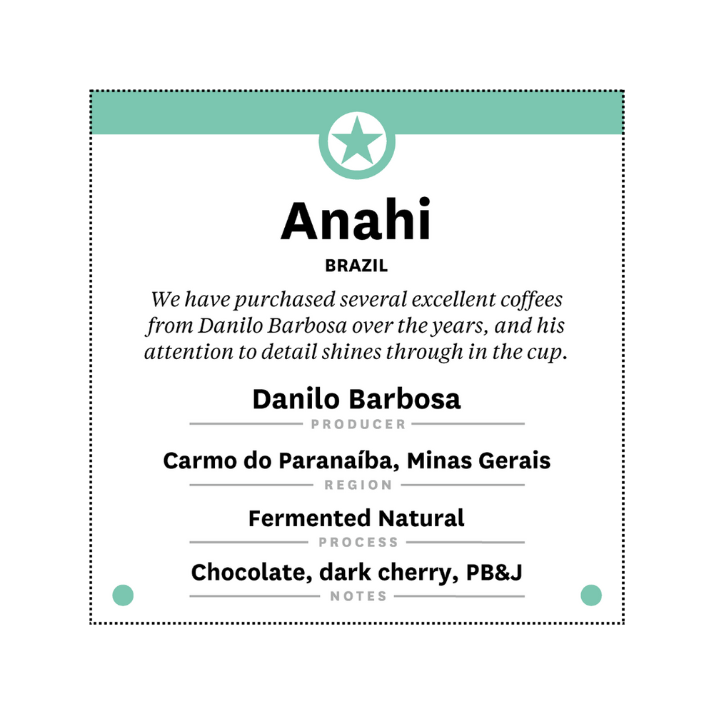 Brazil - Anahi